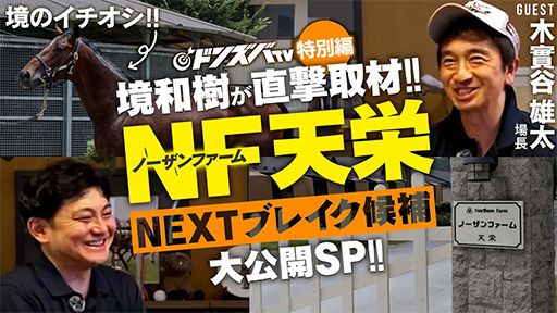 ドンズバＴＶ・特別編