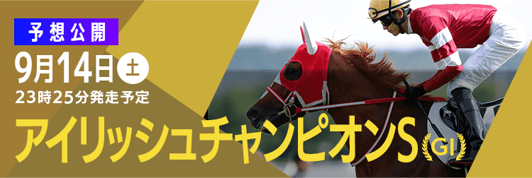 アラブの雄、マリンワン単勝馬券 励み